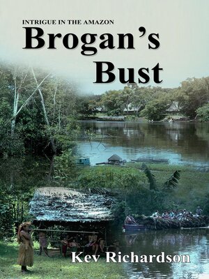 cover image of Brogan's Bust